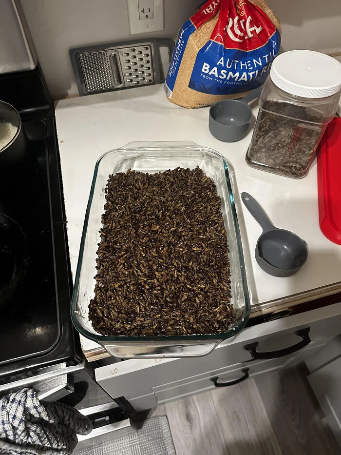 68 Pieces Of Stupid And Disgusting Food That Deserve To Be Publicly Shamed (New Pics) 68 Pieces Of Stupid And Disgusting Food That Deserve To Be Publicly Shamed (New Pics)
