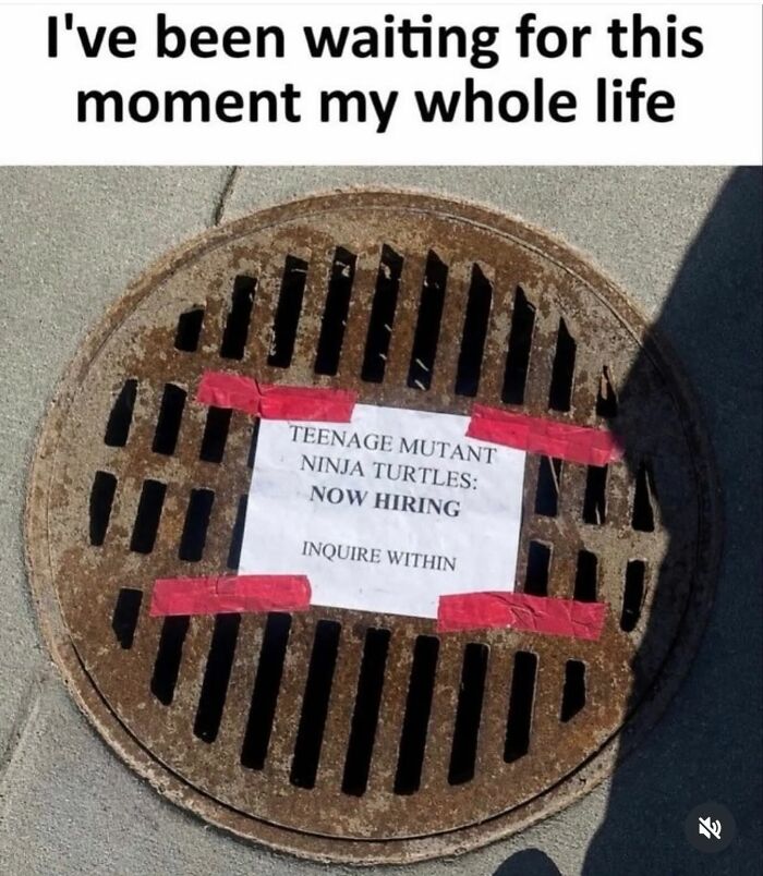 123 Gen X Memes That Might Unlock Memories You Forgot You Had