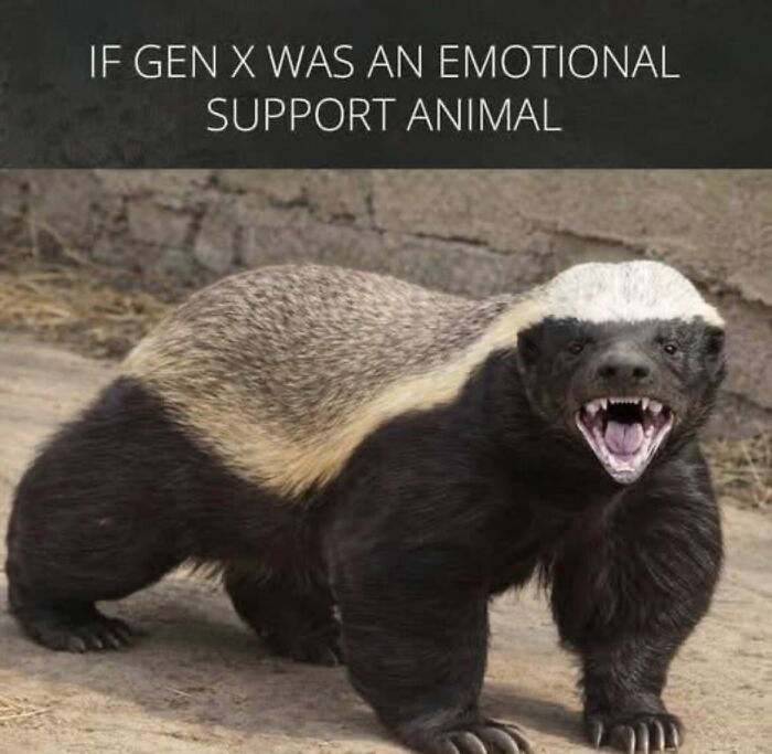 123 Gen X Memes That Might Unlock Memories You Forgot You Had