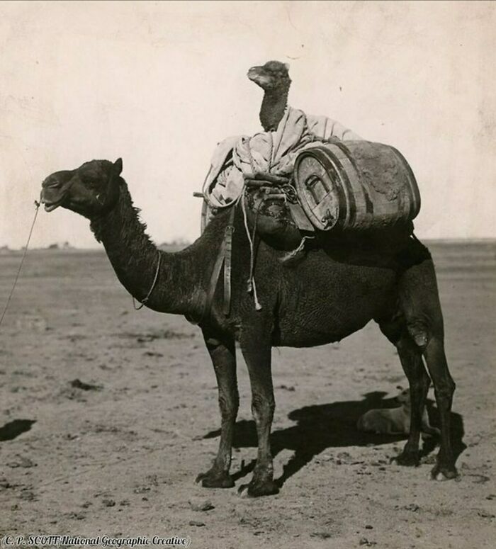93 Historical Photos Showing A Past That Will Remain Alive Only If We Take Time To Remember It (New Pics)
