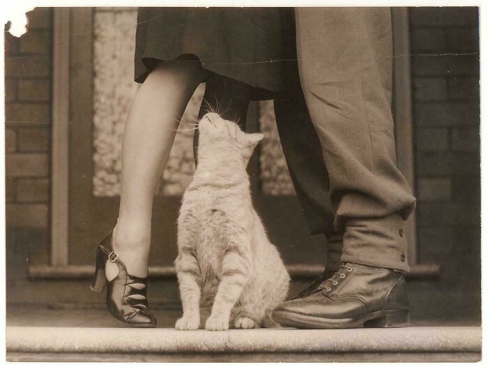 93 Historical Photos Showing A Past That Will Remain Alive Only If We Take Time To Remember It (New Pics)
