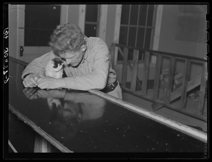 93 Historical Photos Showing A Past That Will Remain Alive Only If We Take Time To Remember It (New Pics)