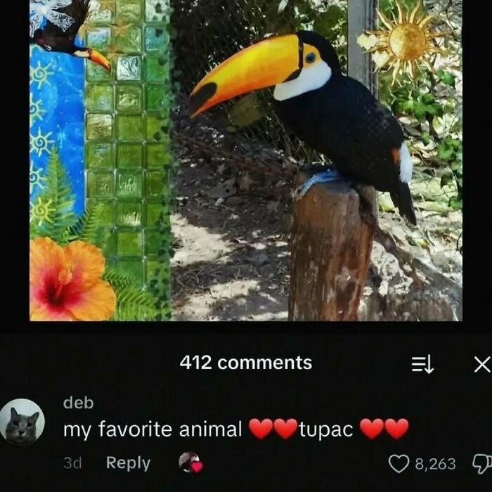89 Painfully Cringe Posts That Somehow Get Funnier (Or Worse) The Longer You Look