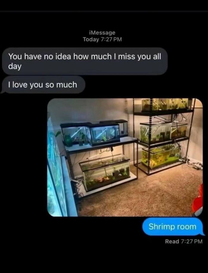 89 Painfully Cringe Posts That Somehow Get Funnier (Or Worse) The Longer You Look