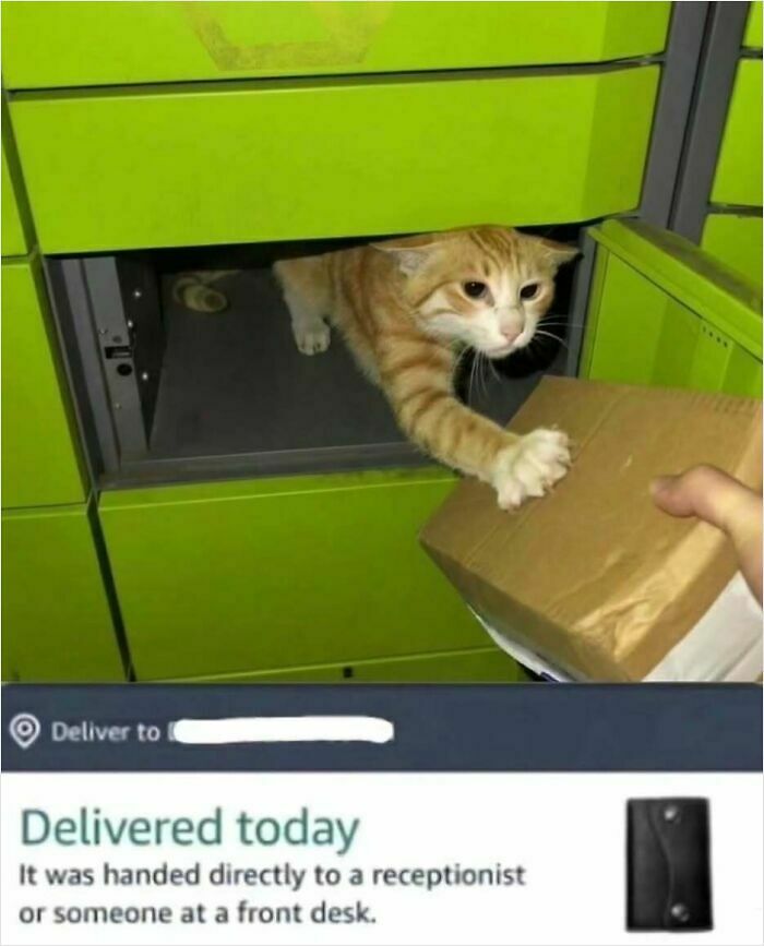 89 Painfully Cringe Posts That Somehow Get Funnier (Or Worse) The Longer You Look