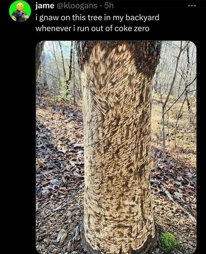 89 Painfully Cringe Posts That Somehow Get Funnier (Or Worse) The Longer You Look