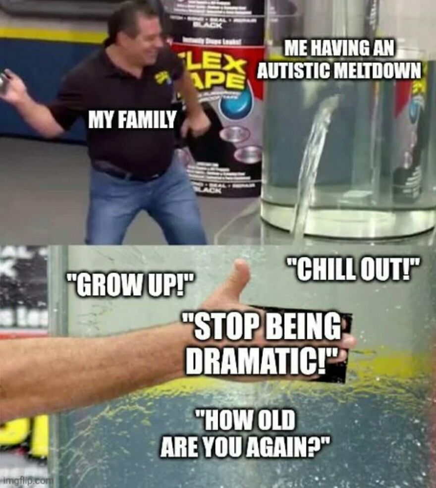80 Spot-On Memes For Autistic People Who Are Tired Of Feeling Misunderstood 80 Spot-On Memes For Autistic People Who Are Tired Of Feeling Misunderstood