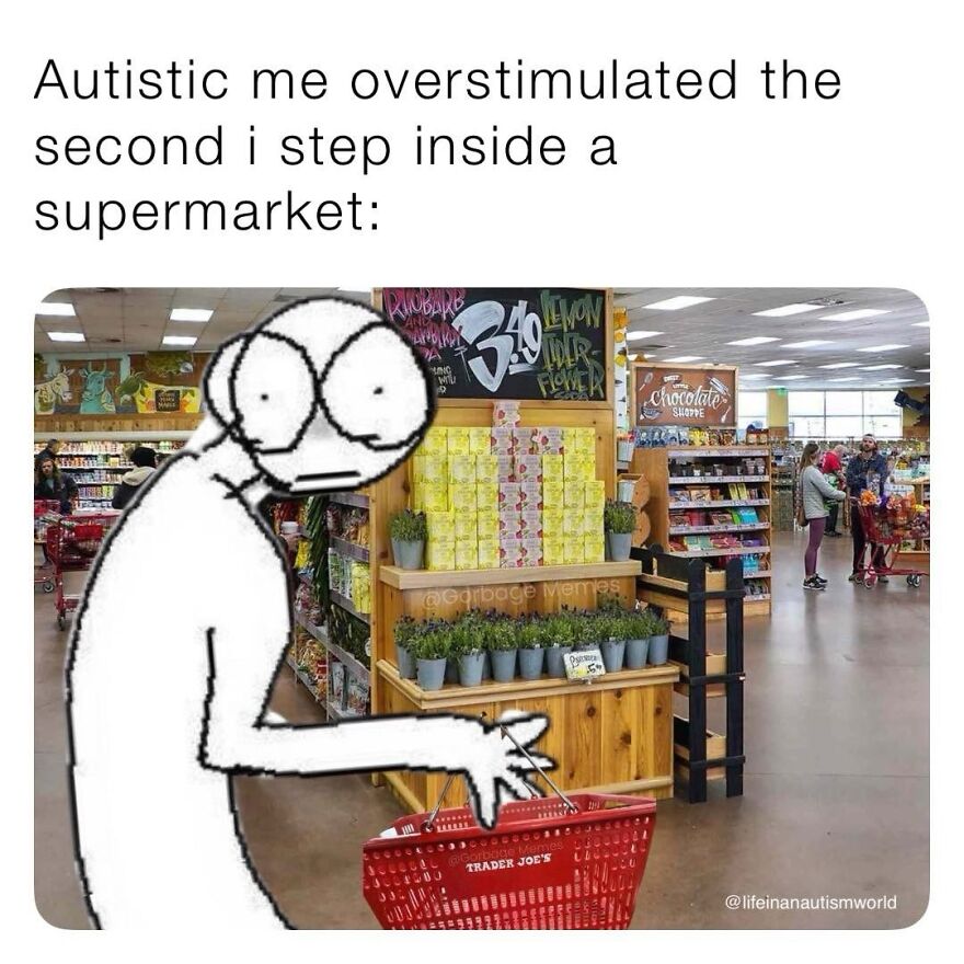 80 Spot-On Memes For Autistic People Who Are Tired Of Feeling Misunderstood 80 Spot-On Memes For Autistic People Who Are Tired Of Feeling Misunderstood