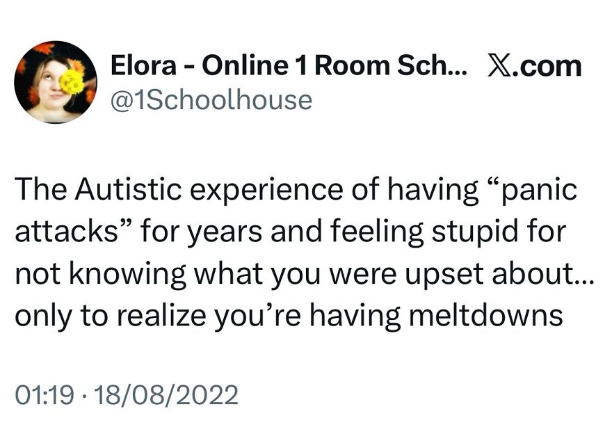 80 Spot-On Memes For Autistic People Who Are Tired Of Feeling Misunderstood 80 Spot-On Memes For Autistic People Who Are Tired Of Feeling Misunderstood