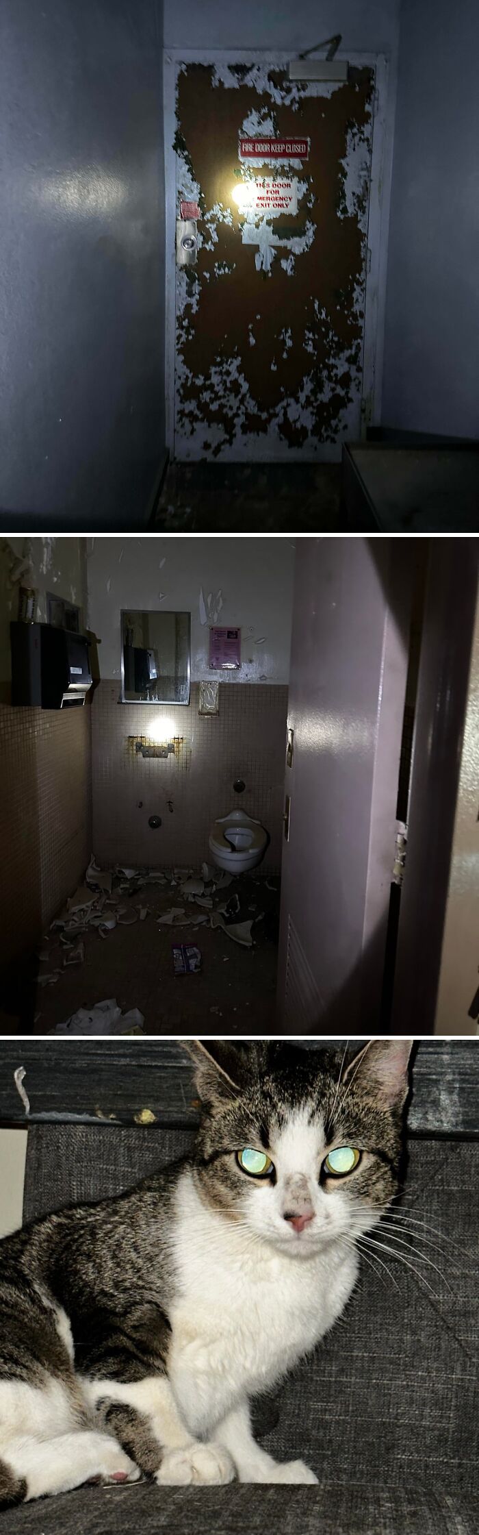 96 Times Urban Explorers Stumbled Upon Things They Never Expected To Find 96 Times Urban Explorers Stumbled Upon Things They Never Expected To Find