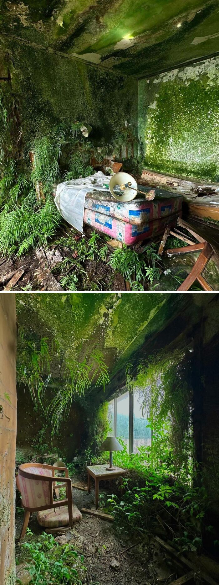 96 Times Urban Explorers Stumbled Upon Things They Never Expected To Find 96 Times Urban Explorers Stumbled Upon Things They Never Expected To Find