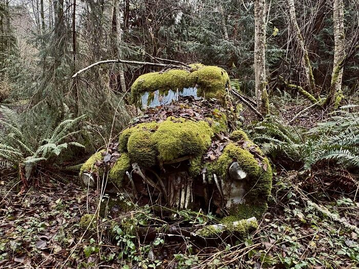 96 Times Urban Explorers Stumbled Upon Things They Never Expected To Find 96 Times Urban Explorers Stumbled Upon Things They Never Expected To Find