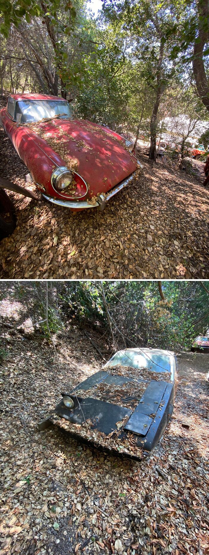 96 Times Urban Explorers Stumbled Upon Things They Never Expected To Find 96 Times Urban Explorers Stumbled Upon Things They Never Expected To Find