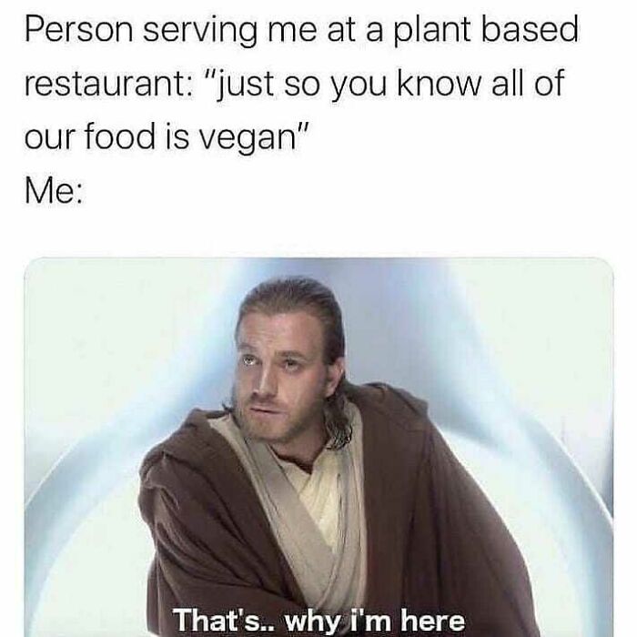 47 Hilarious Memes That Prove That Vegans Do Have A Sense Of Humor