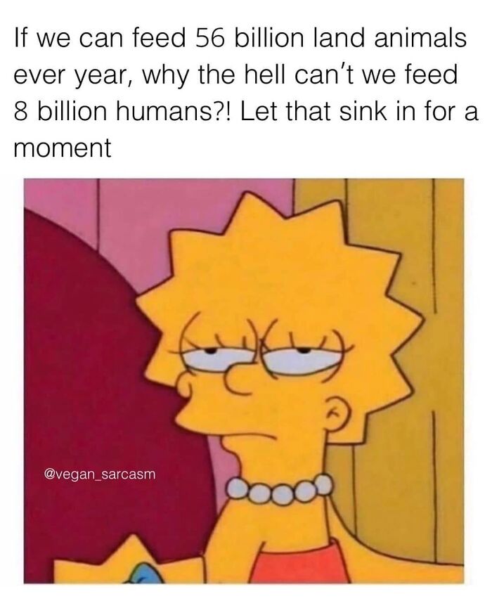 47 Hilarious Memes That Prove That Vegans Do Have A Sense Of Humor