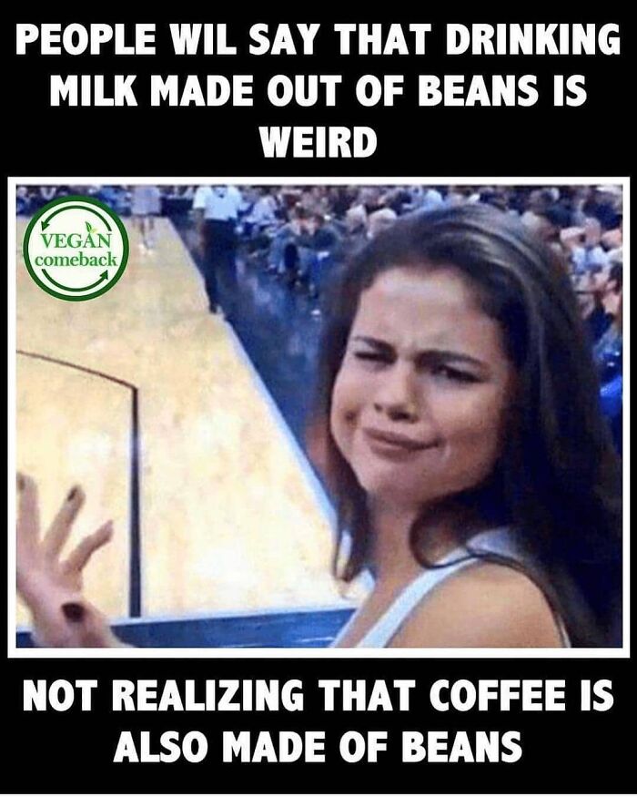 47 Hilarious Memes That Prove That Vegans Do Have A Sense Of Humor
