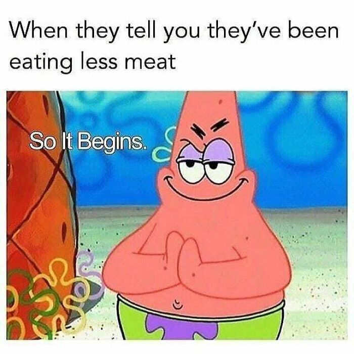 47 Hilarious Memes That Prove That Vegans Do Have A Sense Of Humor