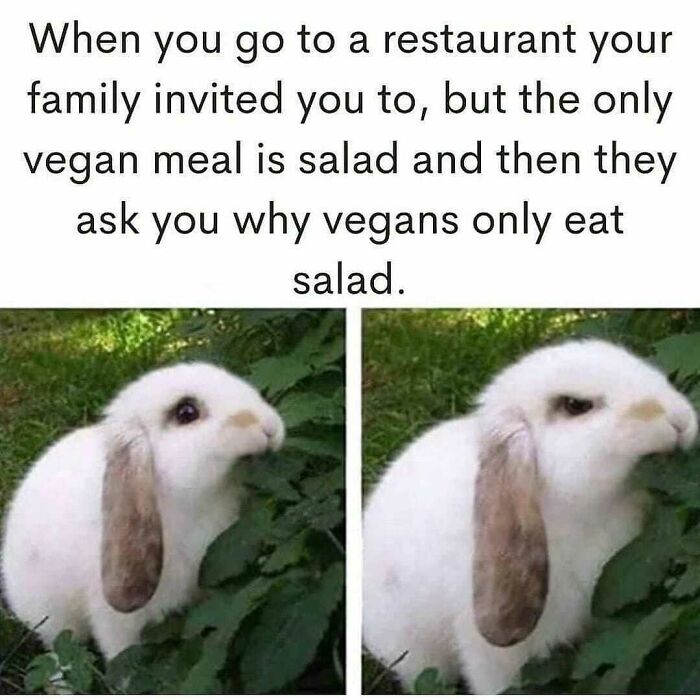 47 Hilarious Memes That Prove That Vegans Do Have A Sense Of Humor