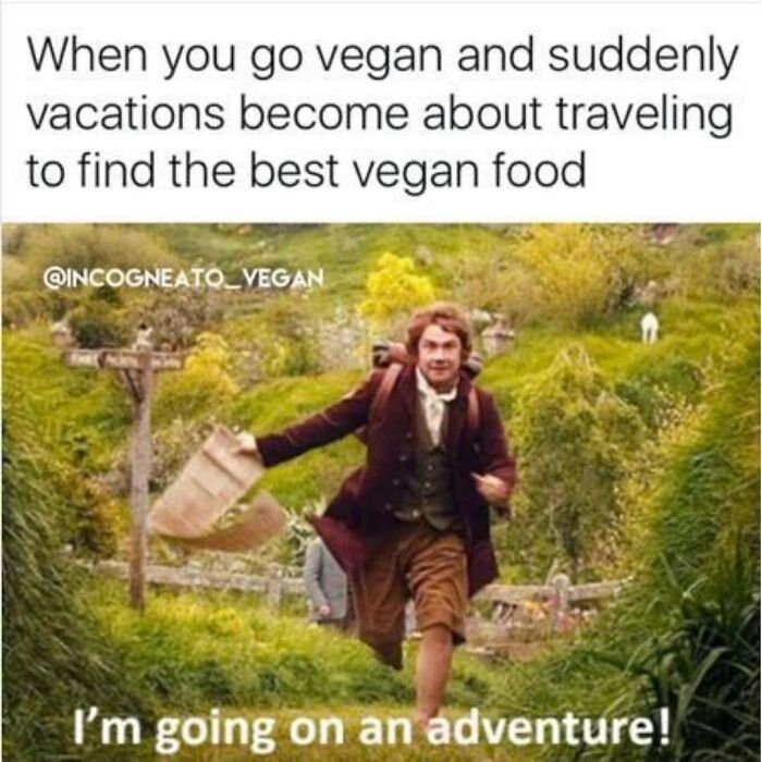 47 Hilarious Memes That Prove That Vegans Do Have A Sense Of Humor