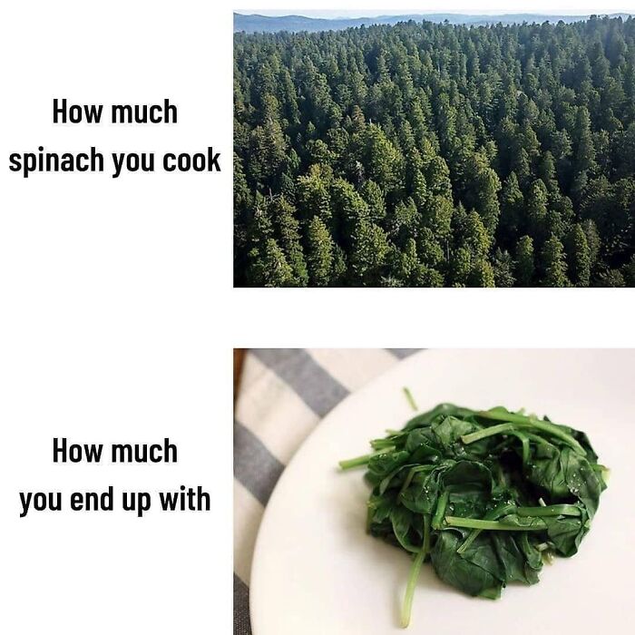 47 Hilarious Memes That Prove That Vegans Do Have A Sense Of Humor