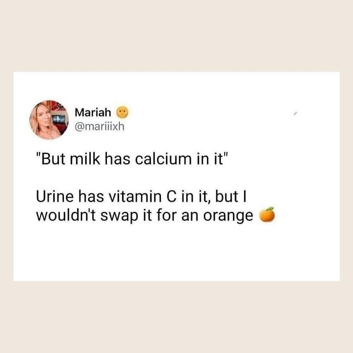 47 Hilarious Memes That Prove That Vegans Do Have A Sense Of Humor