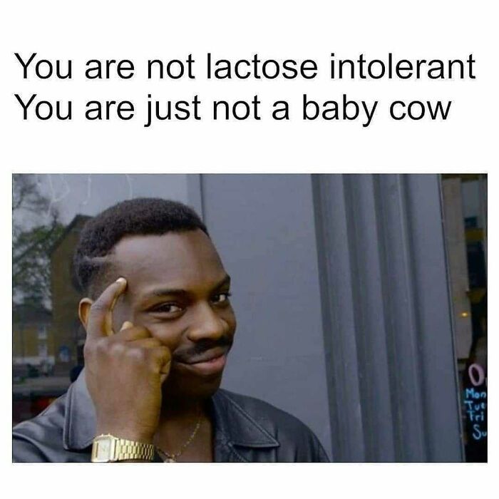 47 Hilarious Memes That Prove That Vegans Do Have A Sense Of Humor