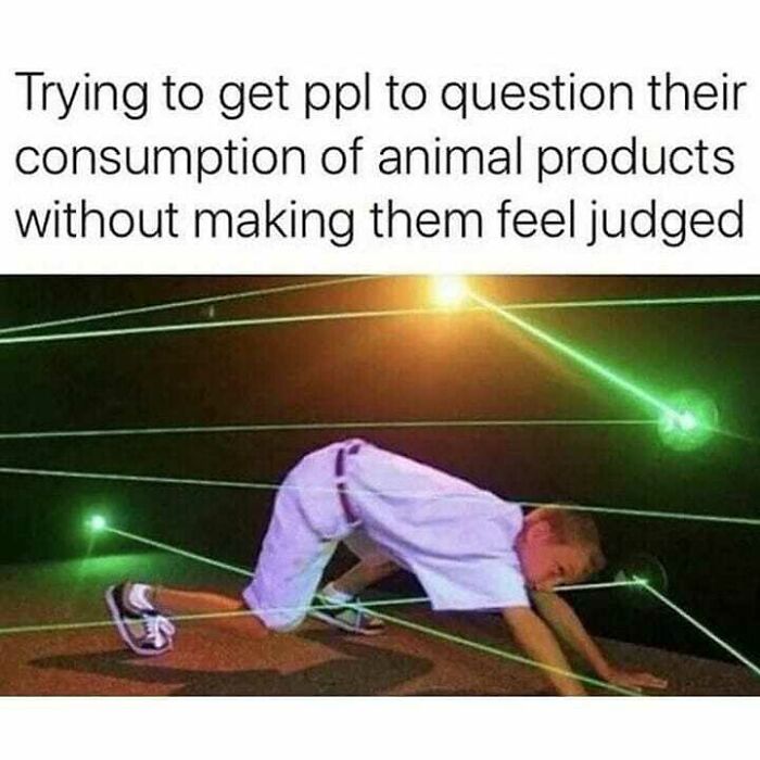 47 Hilarious Memes That Prove That Vegans Do Have A Sense Of Humor