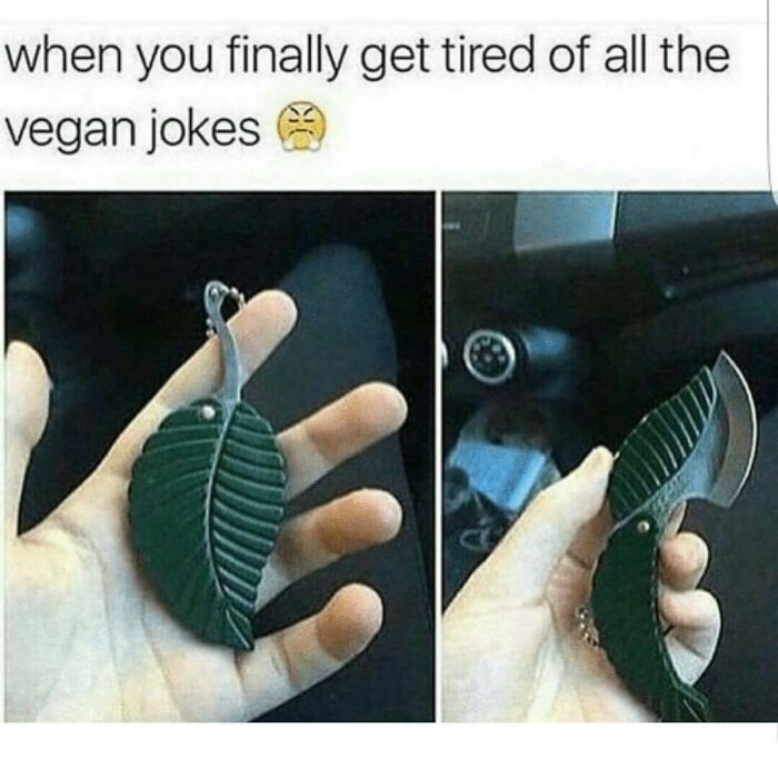 47 Hilarious Memes That Prove That Vegans Do Have A Sense Of Humor