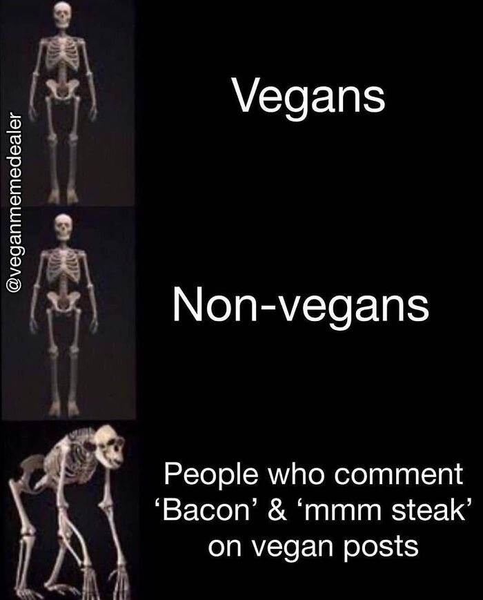 47 Hilarious Memes That Prove That Vegans Do Have A Sense Of Humor