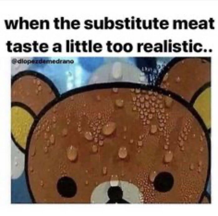 47 Hilarious Memes That Prove That Vegans Do Have A Sense Of Humor