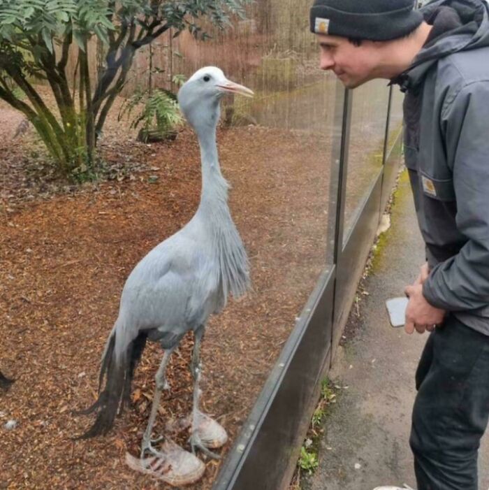 116 Pics That Look Like A Glitch In The Matrix Until You Pay Close Attention (New Pics)