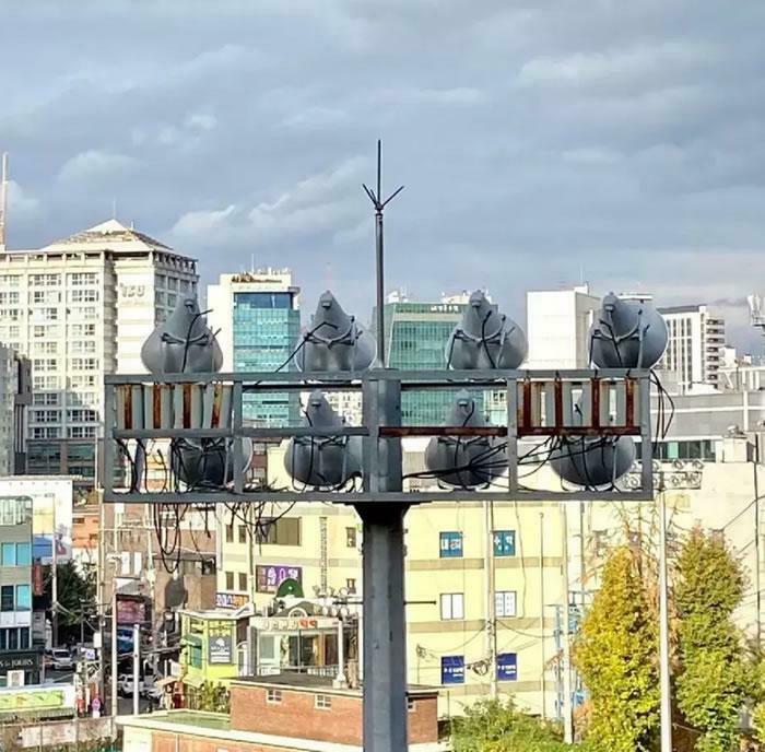 116 Pics That Look Like A Glitch In The Matrix Until You Pay Close Attention (New Pics)