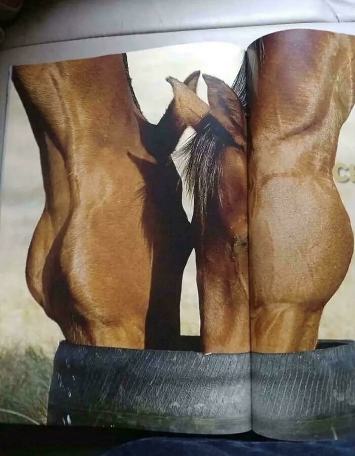 116 Pics That Look Like A Glitch In The Matrix Until You Pay Close Attention (New Pics)