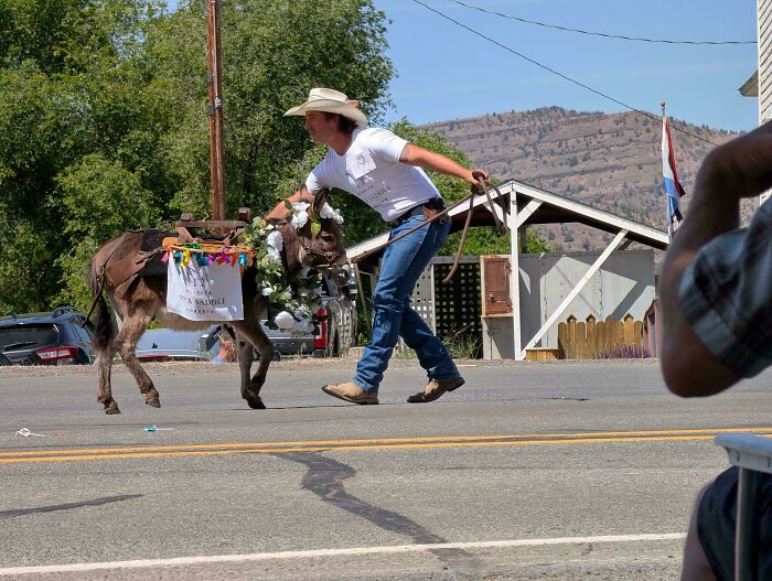 116 Pics That Look Like A Glitch In The Matrix Until You Pay Close Attention (New Pics)