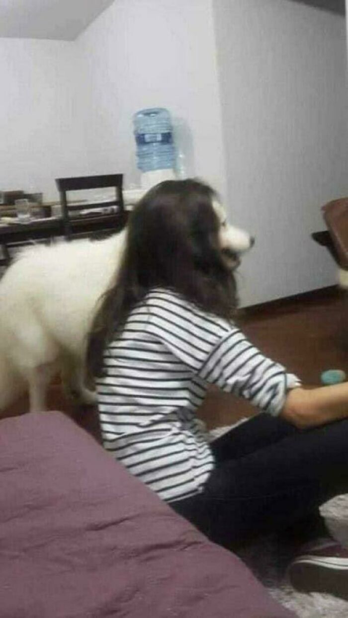 116 Pics That Look Like A Glitch In The Matrix Until You Pay Close Attention (New Pics)