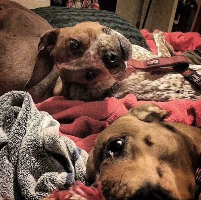 116 Pics That Look Like A Glitch In The Matrix Until You Pay Close Attention (New Pics)