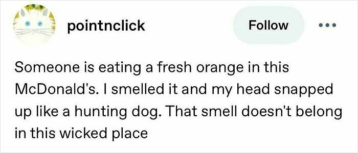 78 Tumblr Posts That Deliver The Exact Kind Of Internet Chaos We&rsquo;ve Been Missing (New Pics)