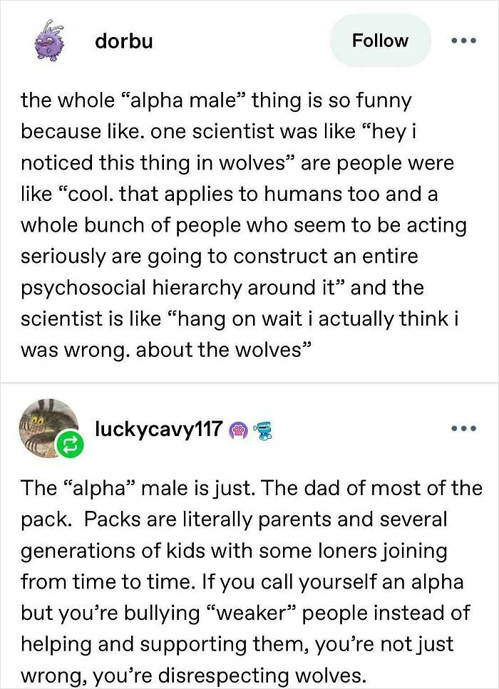 78 Tumblr Posts That Deliver The Exact Kind Of Internet Chaos We&rsquo;ve Been Missing (New Pics)
