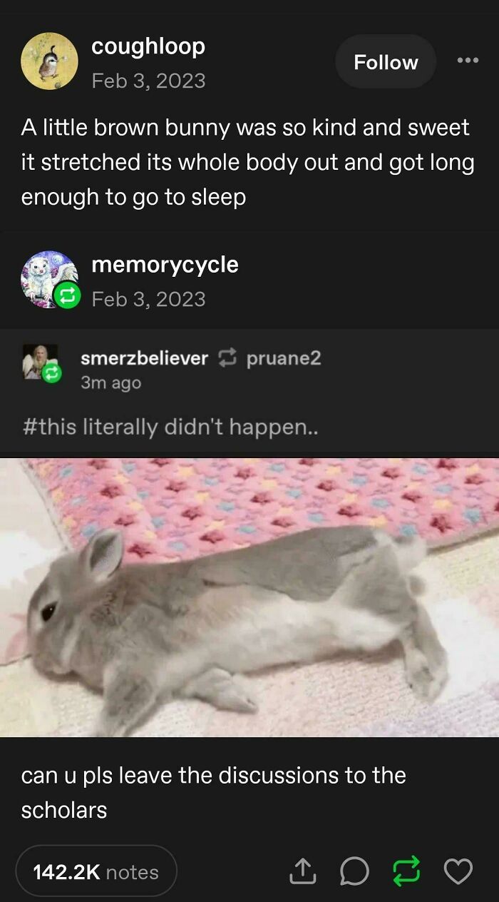 78 Tumblr Posts That Deliver The Exact Kind Of Internet Chaos We&rsquo;ve Been Missing (New Pics)
