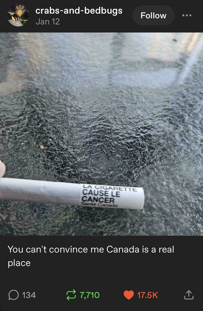 78 Tumblr Posts That Deliver The Exact Kind Of Internet Chaos We&rsquo;ve Been Missing (New Pics)