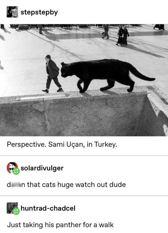 78 Tumblr Posts That Deliver The Exact Kind Of Internet Chaos We&rsquo;ve Been Missing (New Pics)