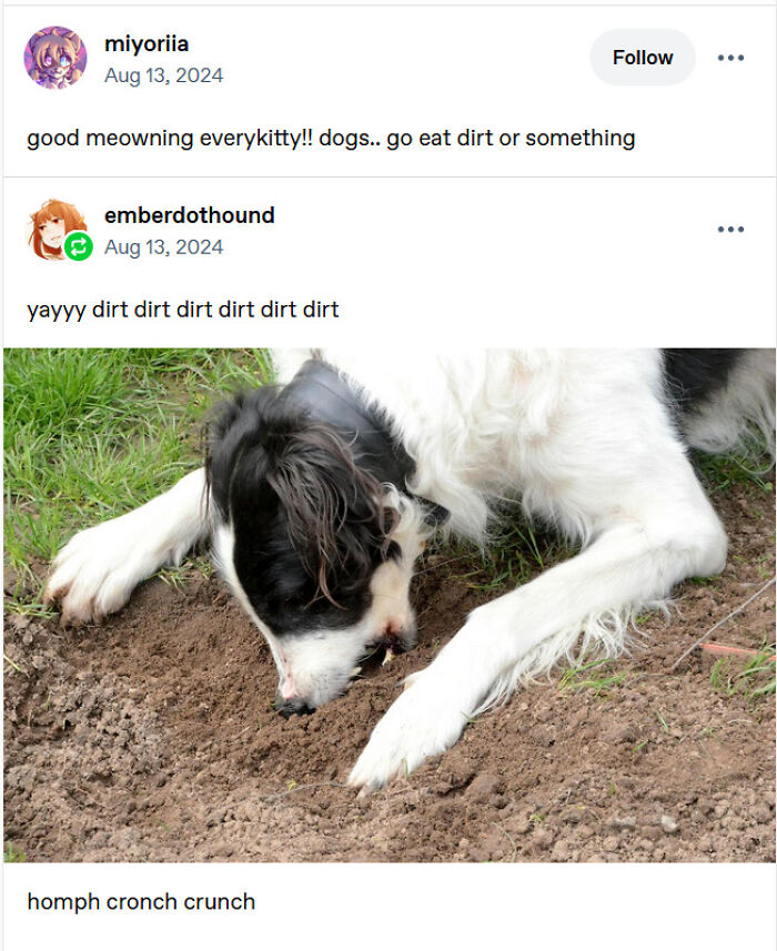 78 Tumblr Posts That Deliver The Exact Kind Of Internet Chaos We&rsquo;ve Been Missing (New Pics)