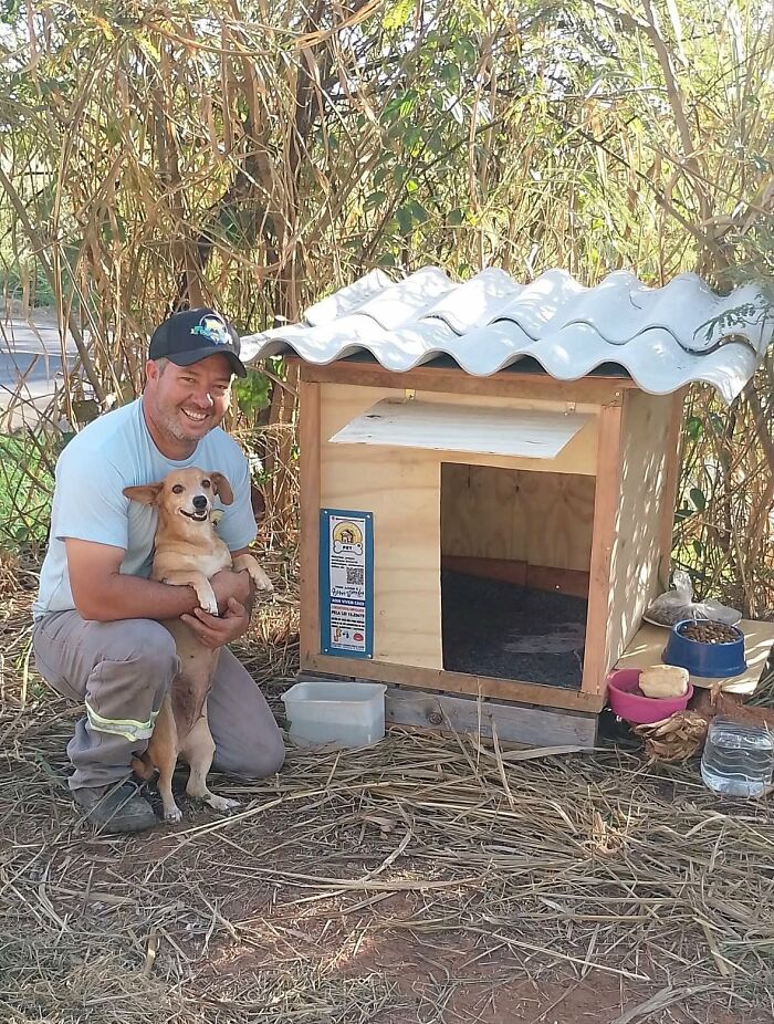 A Truck Driver From Brazil Has Built More Than 1,700 Shelters For Animals In Need