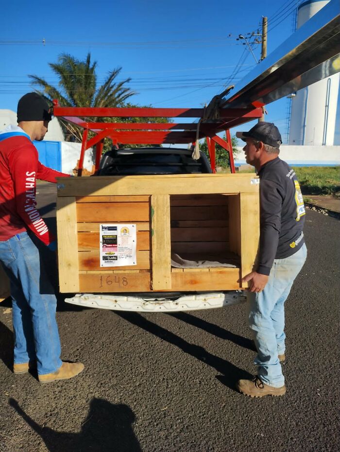 A Truck Driver From Brazil Has Built More Than 1,700 Shelters For Animals In Need