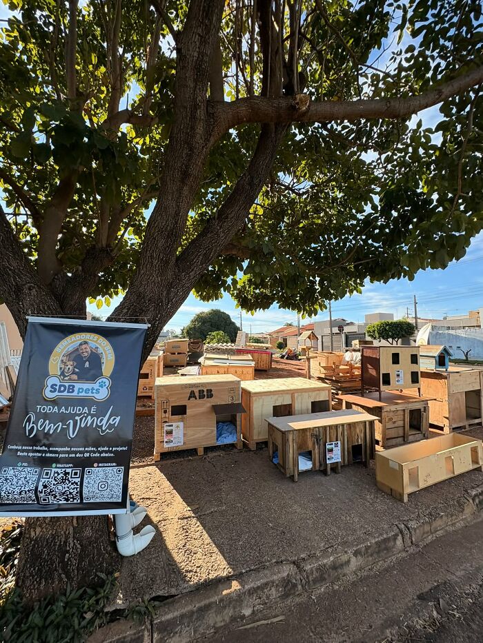 A Truck Driver From Brazil Has Built More Than 1,700 Shelters For Animals In Need