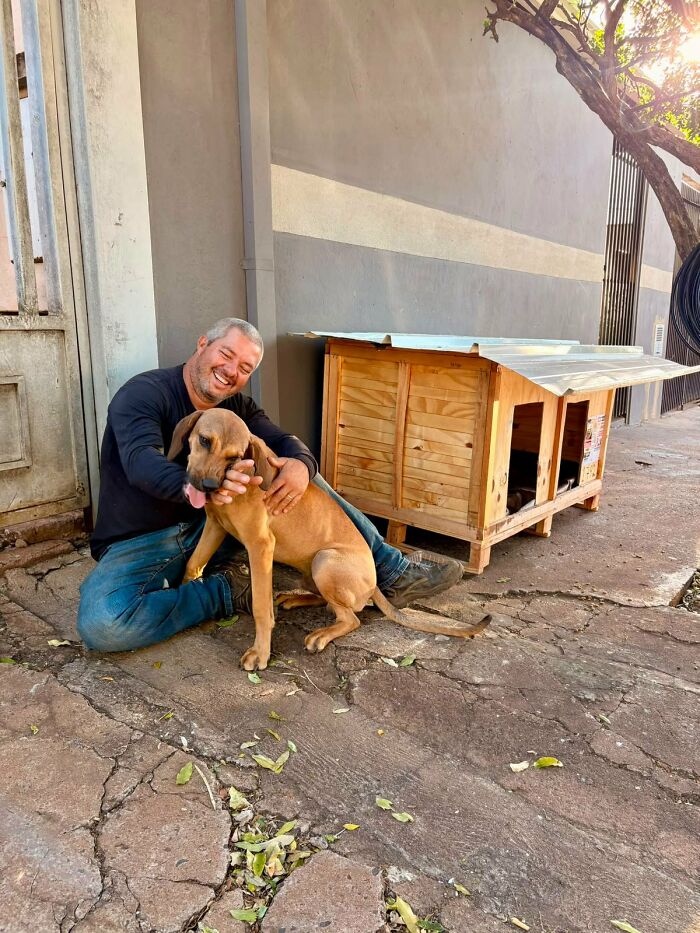 A Truck Driver From Brazil Has Built More Than 1,700 Shelters For Animals In Need
