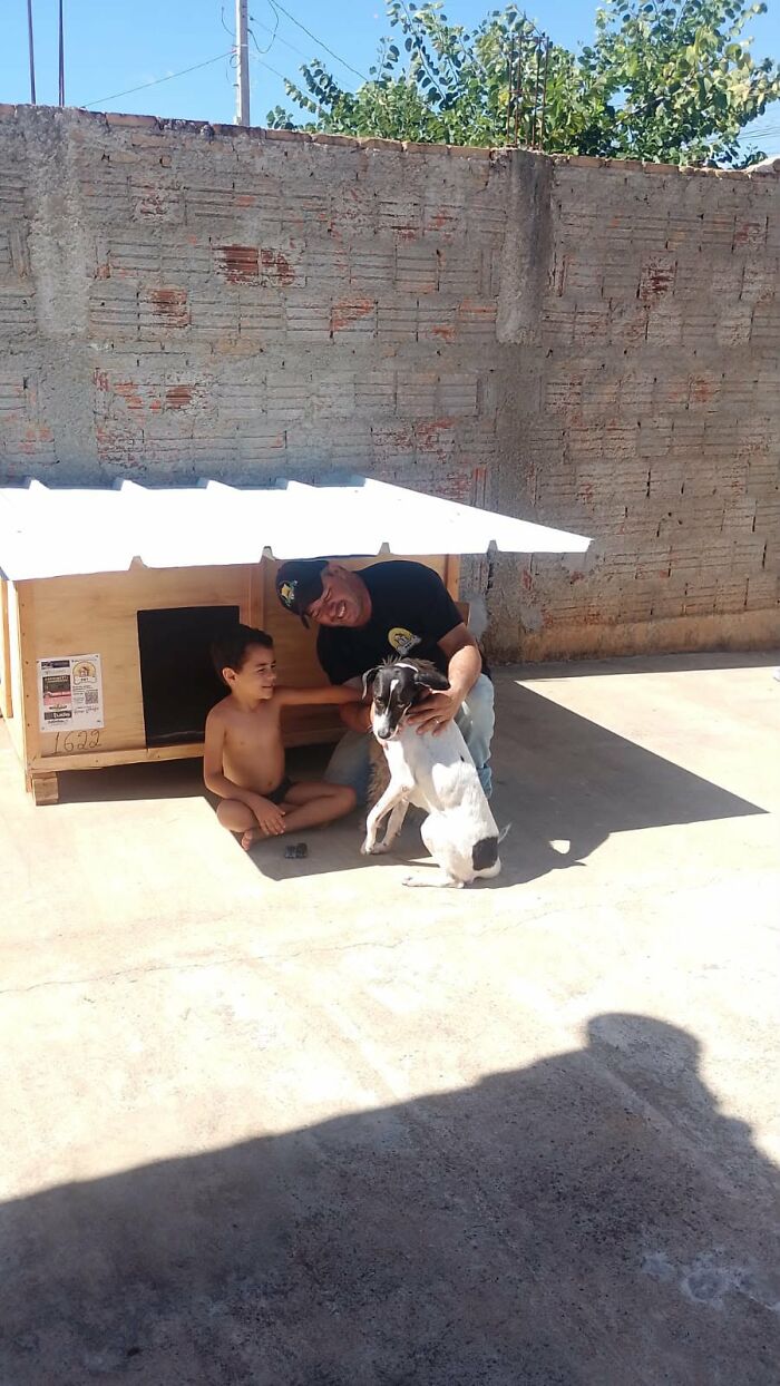 A Truck Driver From Brazil Has Built More Than 1,700 Shelters For Animals In Need