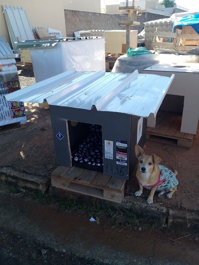 A Truck Driver From Brazil Has Built More Than 1,700 Shelters For Animals In Need