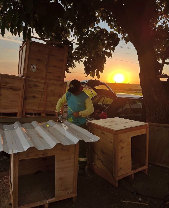 A Truck Driver From Brazil Has Built More Than 1,700 Shelters For Animals In Need