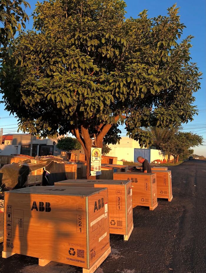A Truck Driver From Brazil Has Built More Than 1,700 Shelters For Animals In Need